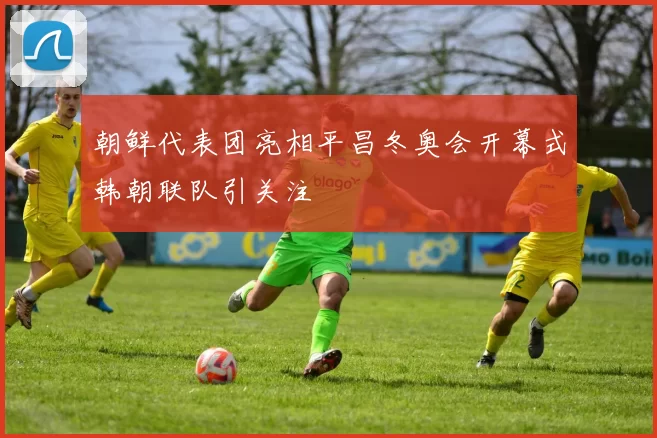 朝鲜代表团亮相平昌冬奥会开幕式韩朝联队引关注