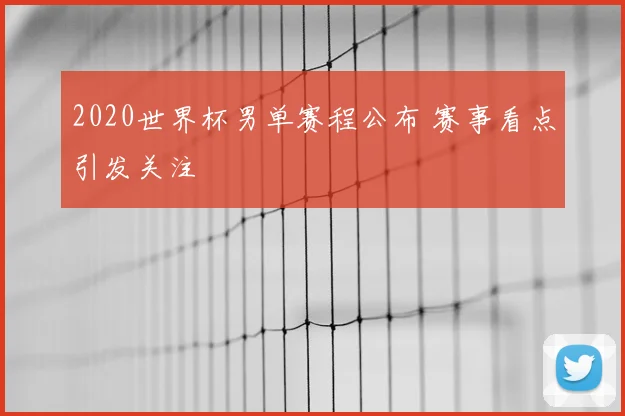 2020世界杯男单赛程公布 赛事看点引发关注