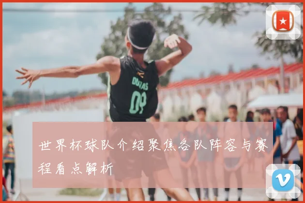 世界杯球队介绍聚焦各队阵容与赛程看点解析